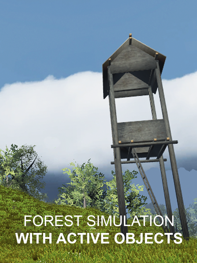 Explain 3D: Forest animals FREE
