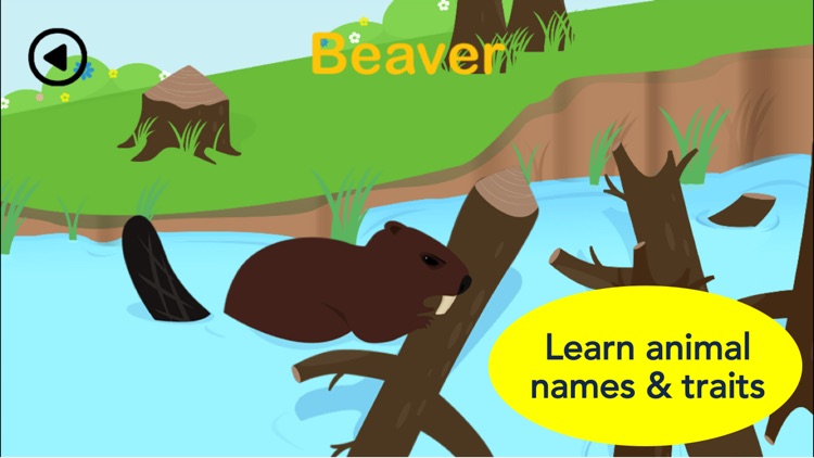 Piiig Forest Explorer: Natural Science for Kids