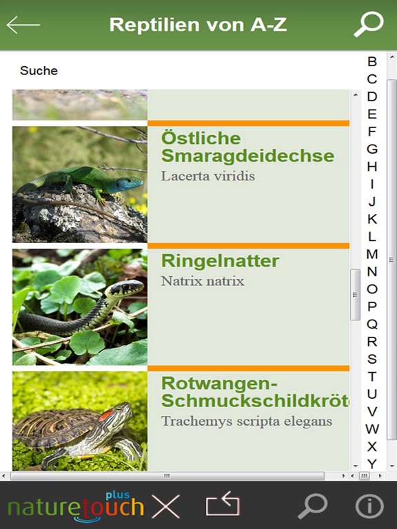 Screenshot #6 pour Schlangen, Eidechsen, Schildkröten bestimmen