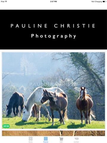 Pauline Christie Photography screenshot 4