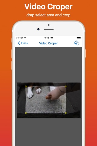 Video Cropper Pro screenshot 3