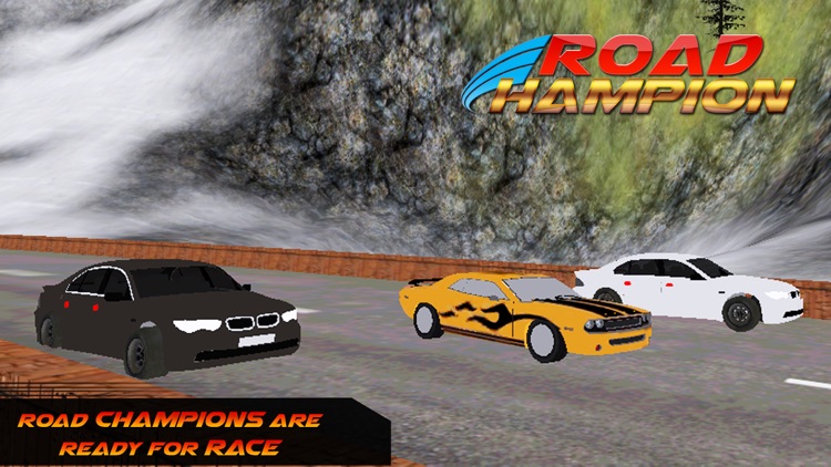 Road Champions : Extreme Drift