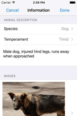 Stray - Locate & Help Stray Animals screenshot 2