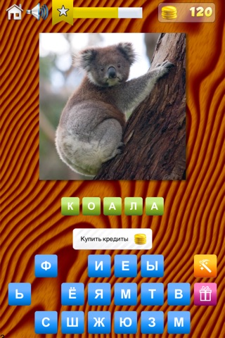 Animals Quiz - World Edition screenshot 2