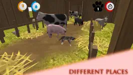 Game screenshot Real Cat Simulator hack