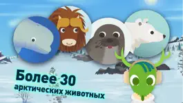Game screenshot MarcoPolo Арктика apk