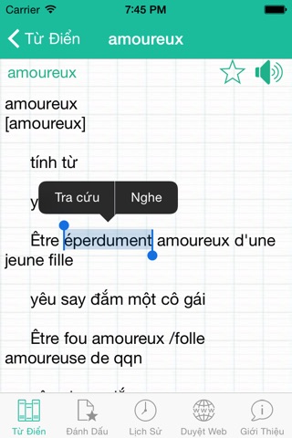 FVEDictPro - Từ điển Pháp Việt screenshot 2