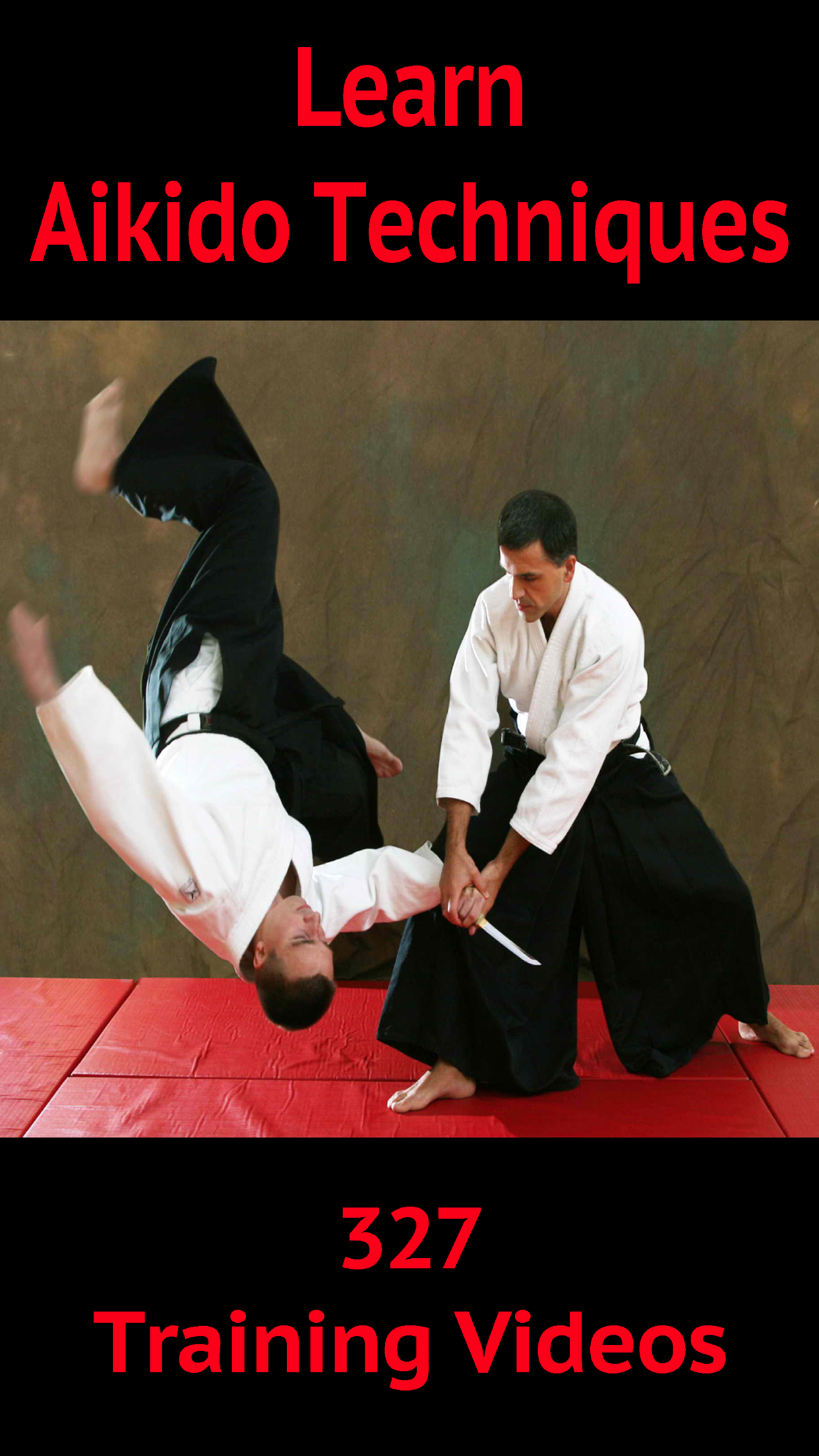 Learn Aikido Techniques