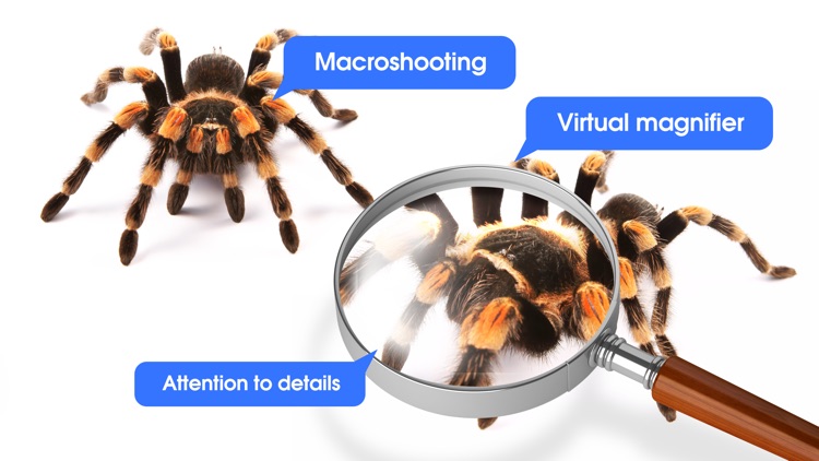 3D Virtual laboratory. Biology