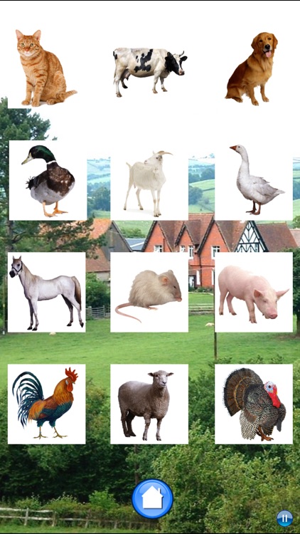 Sounds of Farm Animals