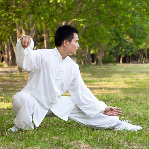 Teach Yourself Tai Chi