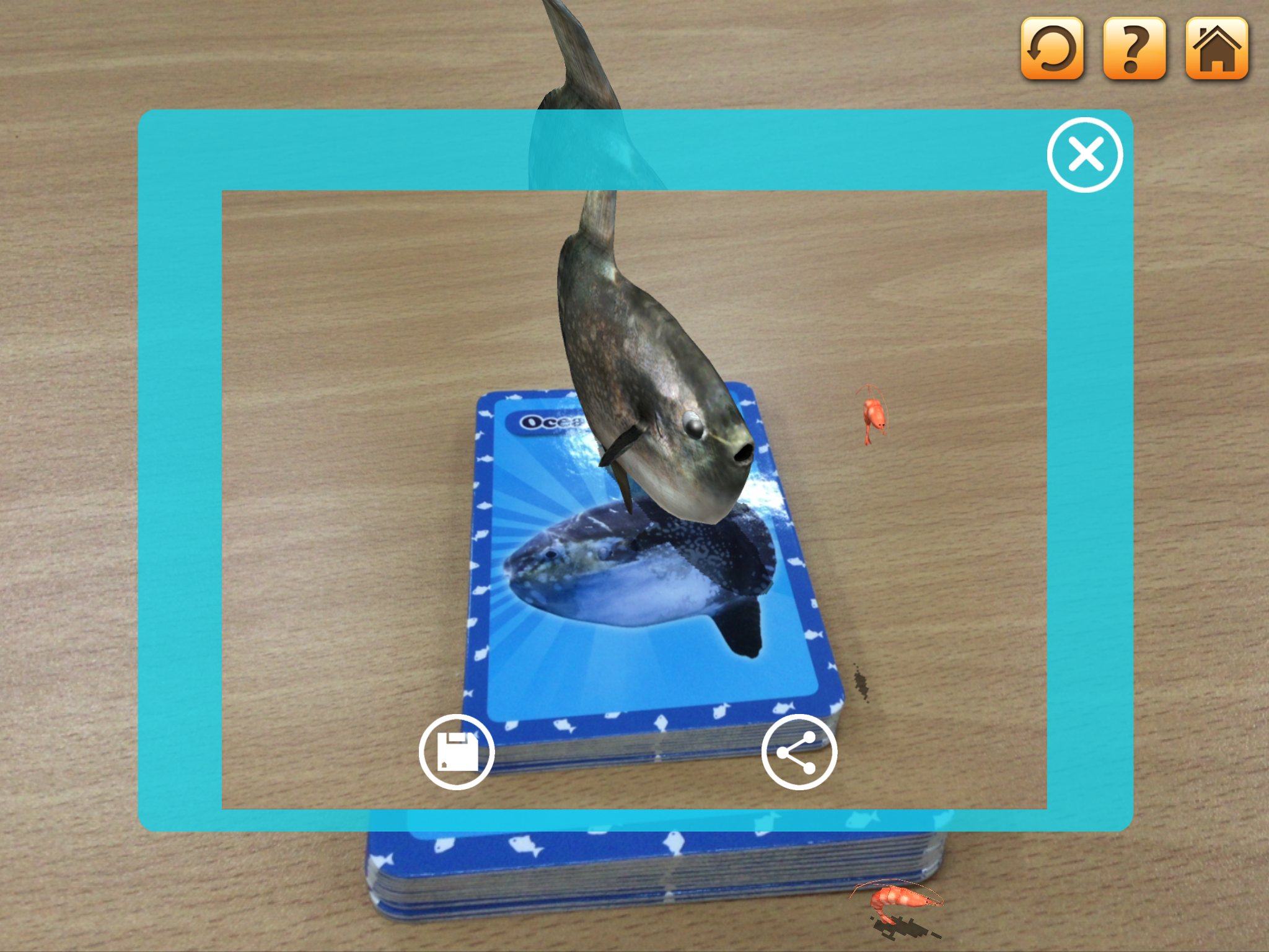 3D LEARNING CARD SEA ANIMALS screenshot 9