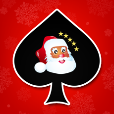 Activities of Christmas Solitaire Sage