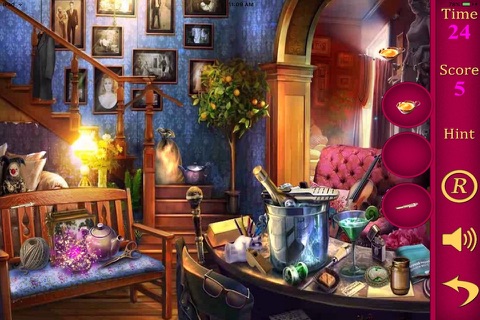 Hidden Objects Of A Golden Rules Of Cleaning screenshot 4