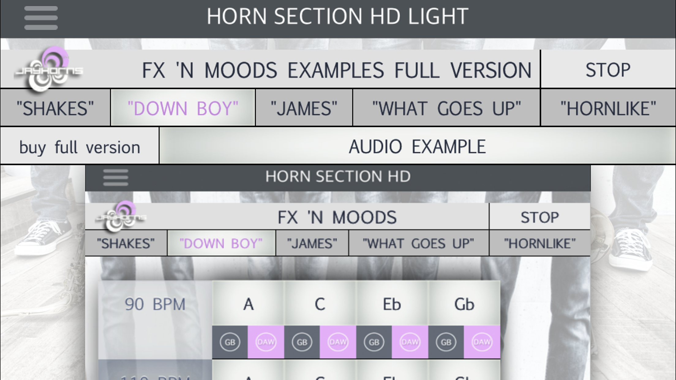 Horn Section HD Light screenshot 5