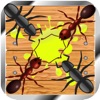 ANT Killer INFINITE - iPadアプリ