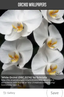 Game screenshot Orchid Wallpapers hack