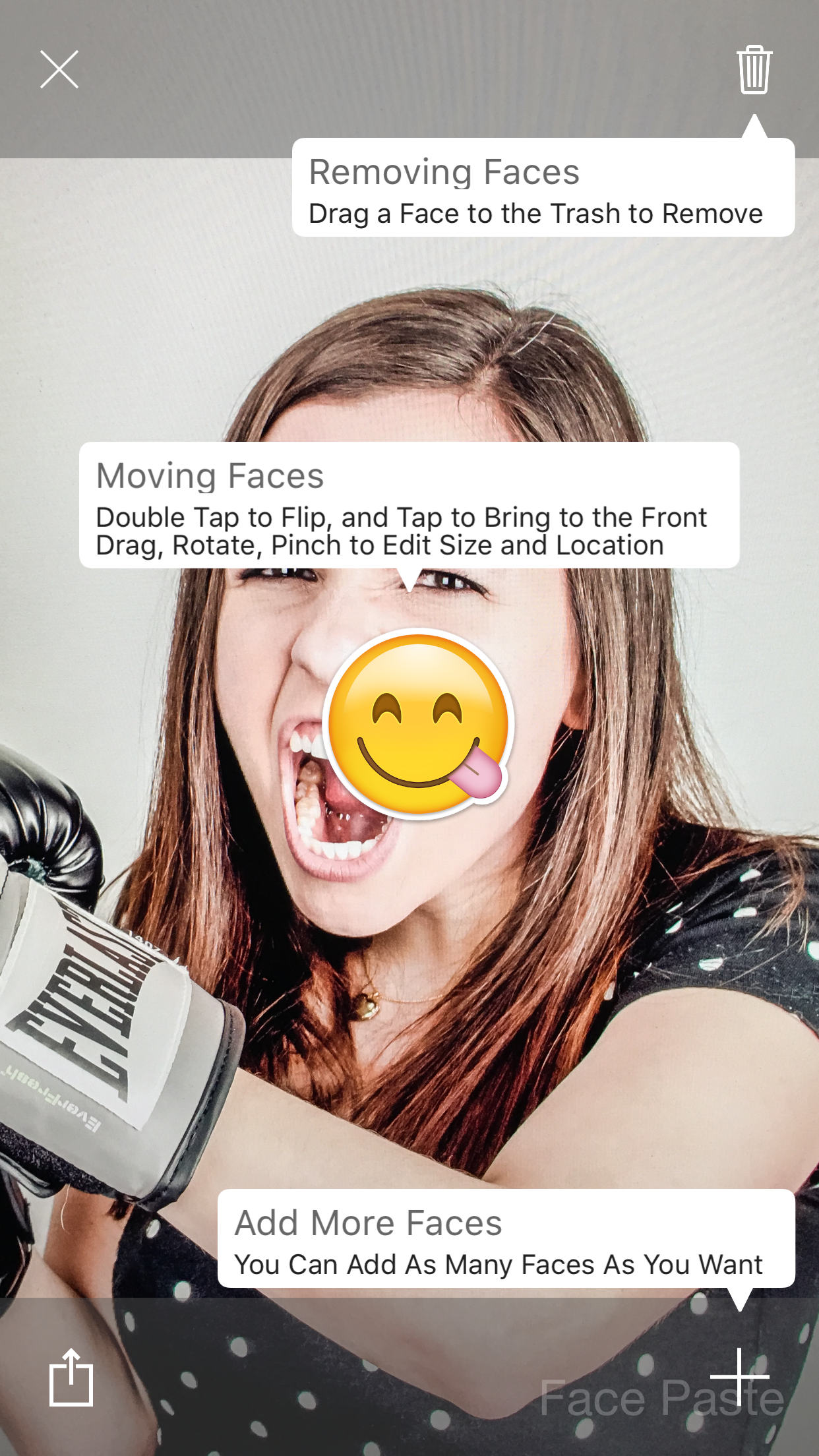 Face Paste