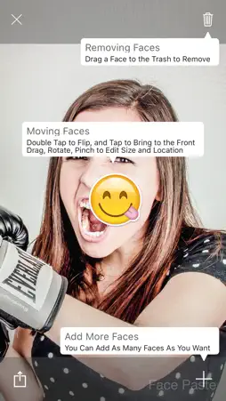 Face Paste screenshot 4