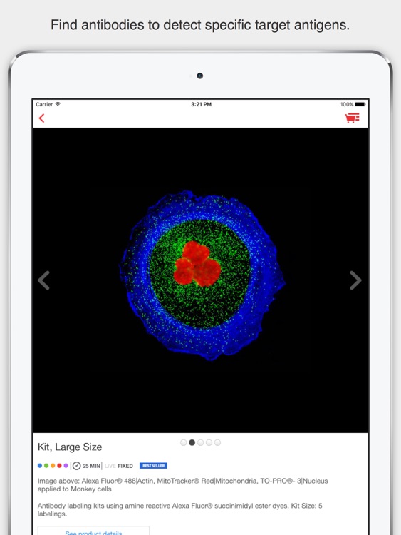 Cell Imaging HD