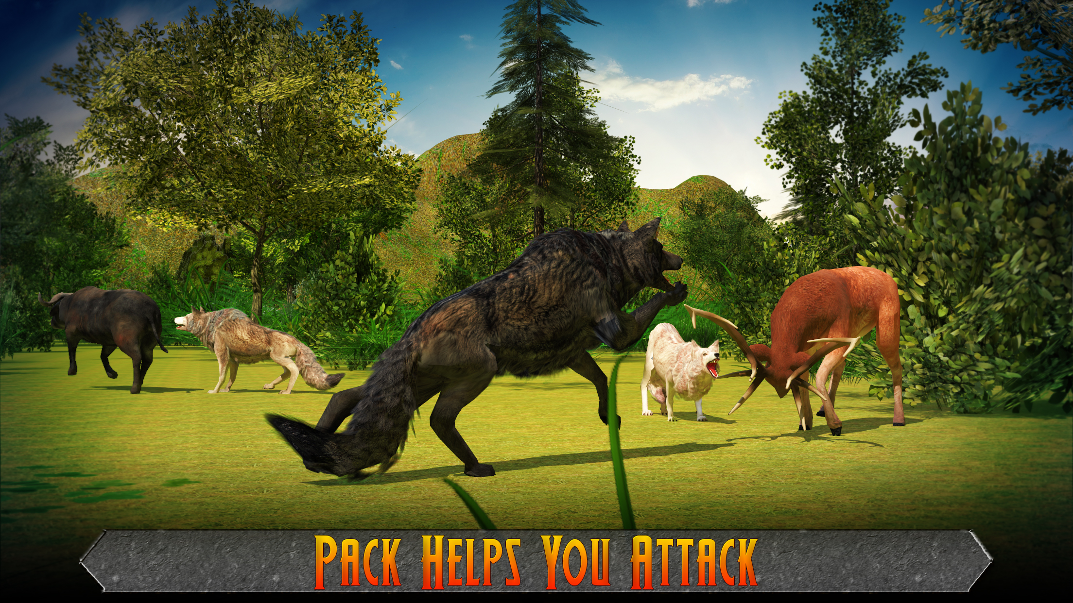 Wolf Pack Attack 2016