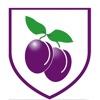 Plumcroft Primary School App