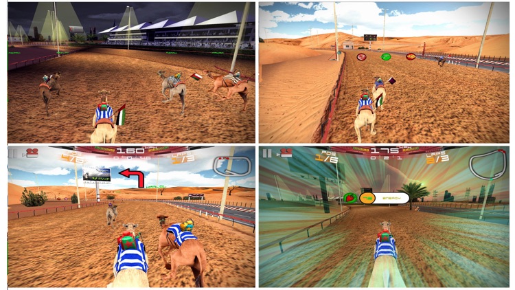 3D سباق الهجن - UAE Camel Racing screenshot-3