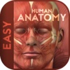 Human Anatomy 2015 by Video