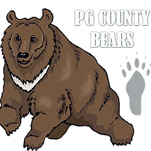 PG Bears icon