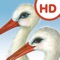 "Las cigüeñas de Santa Marina HD" es una App para iPad que incluye juegos didácticos para que los más pequeños se diviertan y aprendan