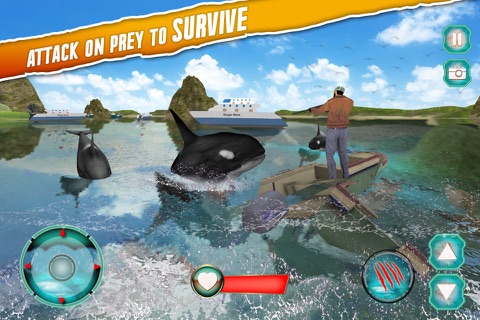 Angry Whale Simulator 2016 screenshot 3