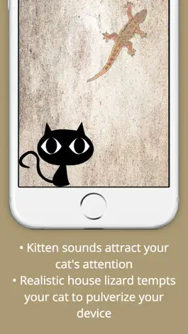 Game screenshot Cat VS Lizard - Entertain your cat apk