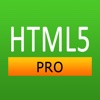 HTML5 Pro Quick Guide