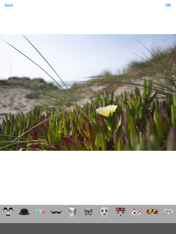 PhotoEffect - Free Pic and Photo Collage Maker & Grid Editor iPad screenshot 2 - Photo & Video app