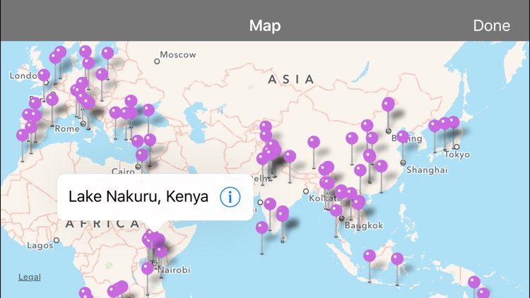 WoW Holidays screenshot-3