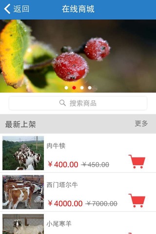 张掖农产品网 screenshot 2
