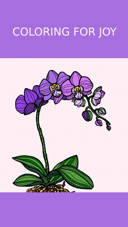 Floral Coloring Book For Adults: Best Free Adult Coloring Therapy Pages - Anxiety Stress Relief Balance Relaxation