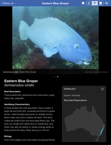 Screenshot #6 pour Field Guide to NSW Fauna