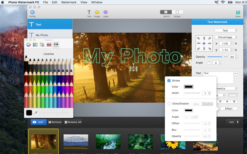 Photo Watermark FX - batch image editor thumbnail 1