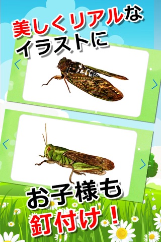 みんなの昆虫カード screenshot 3