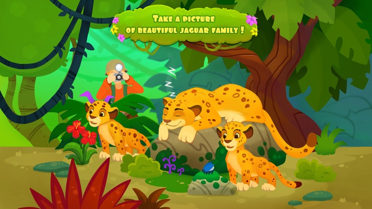 Adventures in the jungle - Storybook