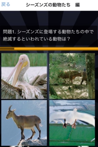 クイズforシーズンズ 2万年の地球旅行ー野生動物シーズンズ screenshot 3