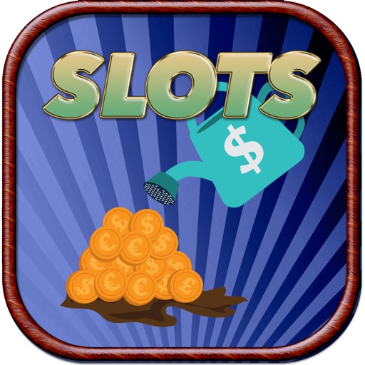 Slots Free Casino Amsterdam  - Free Slots Machine