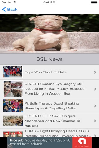 Pitbull Dog Training Guide screenshot 4