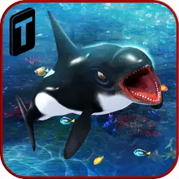 Killer Whale Beach Attack 3D app icon