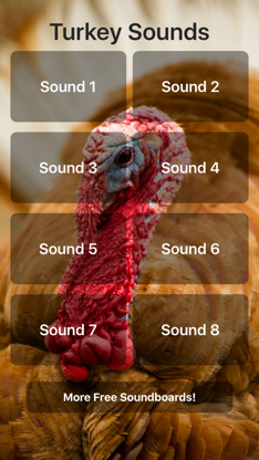 Turkey Sounds screenshot 1