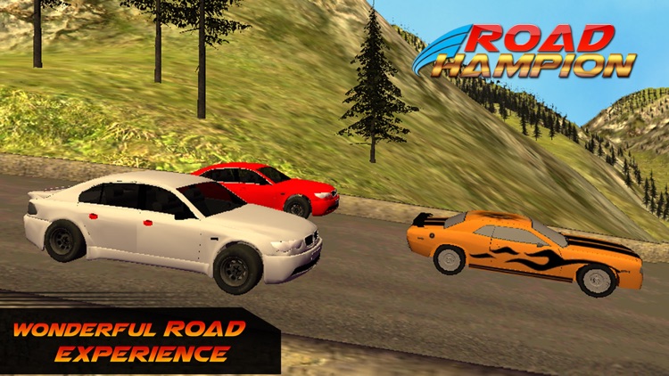 Road Champions : Extreme Drift screenshot-4