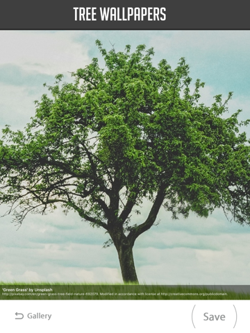 Screenshot #5 pour Tree Wallpapers