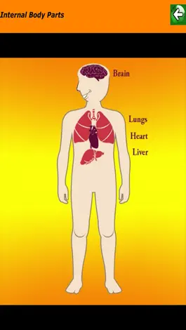 Game screenshot Body Parts Skeletal & Internal apk