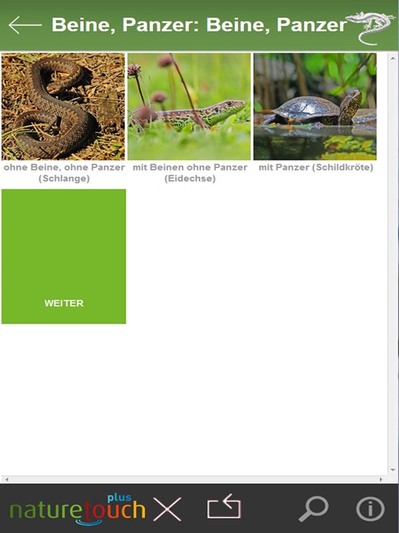 Screenshot #5 pour Schlangen, Eidechsen, Schildkröten bestimmen